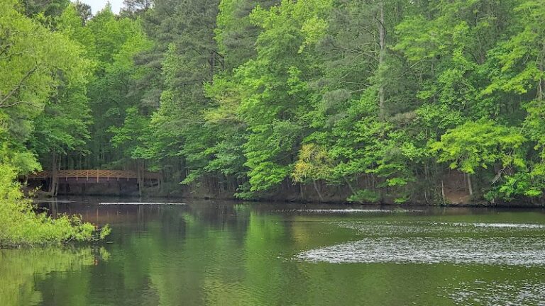 48642 interior visions 1 768x432