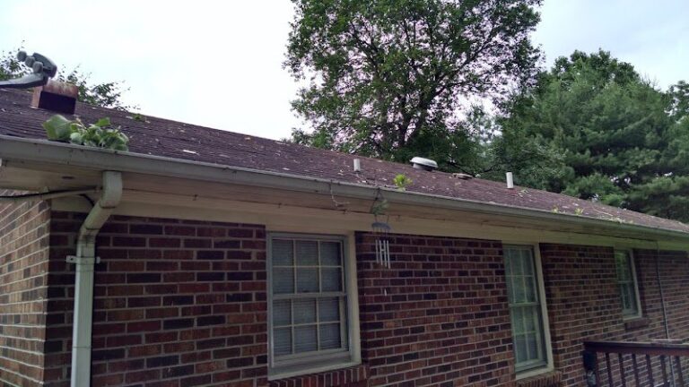4890 leaf relief gutter cleaning llc 1 768x432