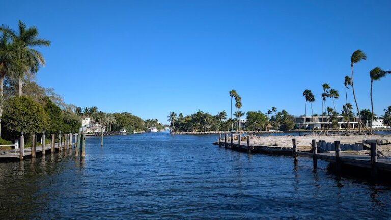 49049 sw3 design 768x432