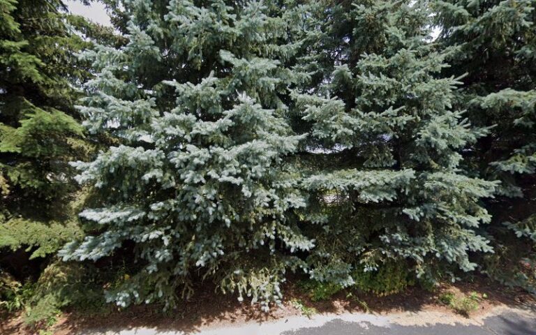 49481 lumen electric inc 1 768x480