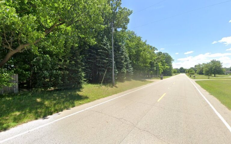 49519 weber electric 768x480