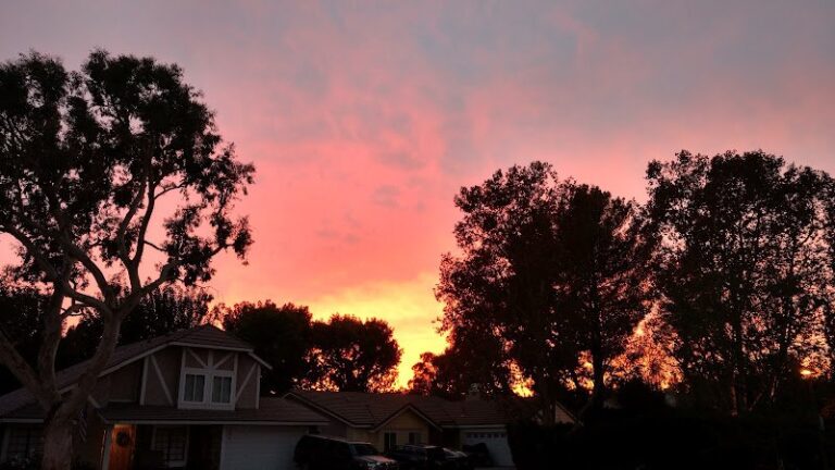 49842 barragan electrical services 768x432