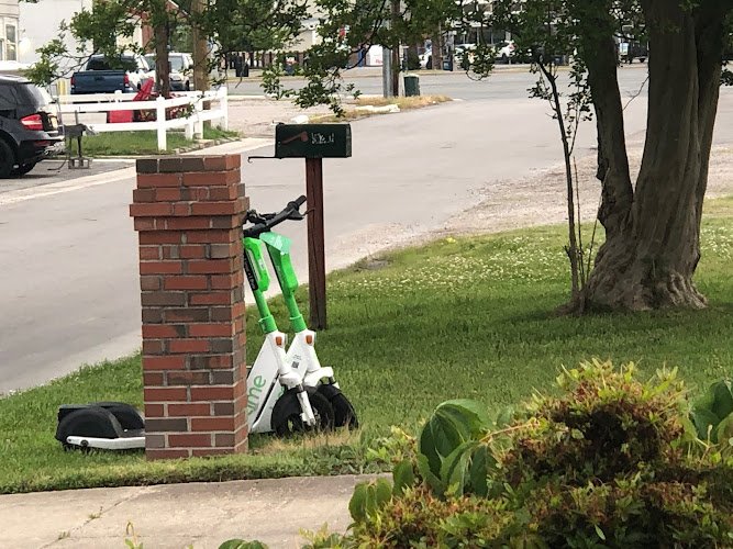 5038 molly maid of chesapeake norfolk and suffolk 1