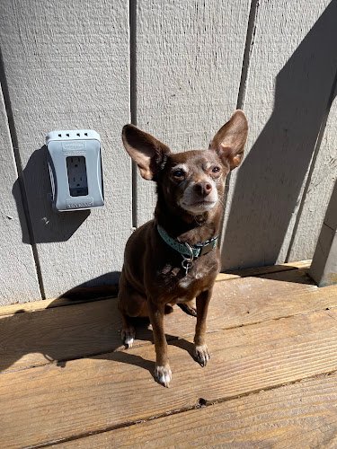 50735 lady b electric inc 1