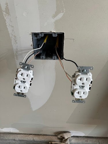 51103 vitality electric 1