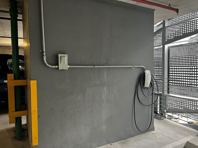 51155 florida gator electric 1