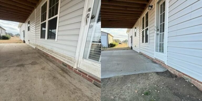 5149 vivid softwash 768x384