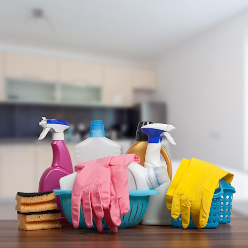 5158 healthy home cleaning services 1