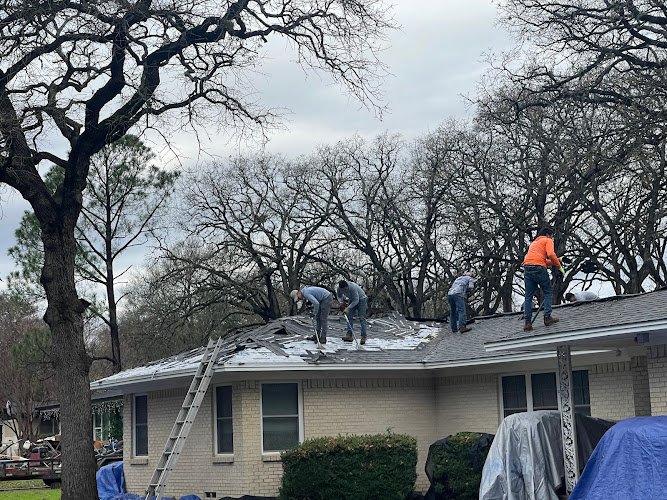 5244 alpha one restoration 1