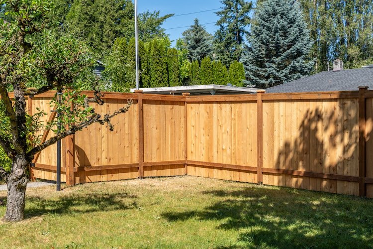 53803 rare bears fencing 1