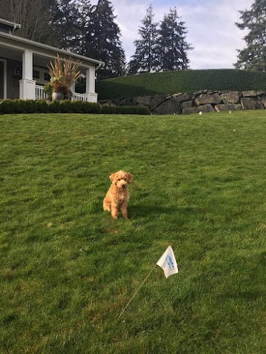 53877 invisible fence brand