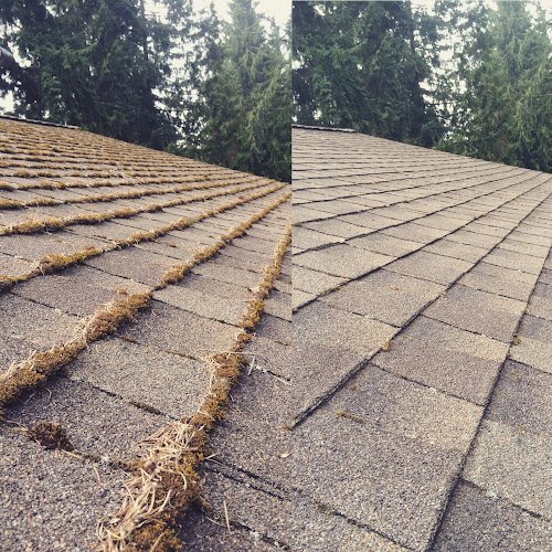 5396 squeegee pros 3