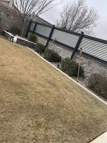 54278 complete lawn care 1