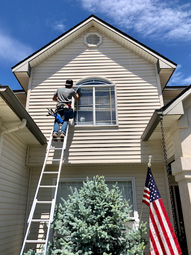 5441 tree city window cleaners 1