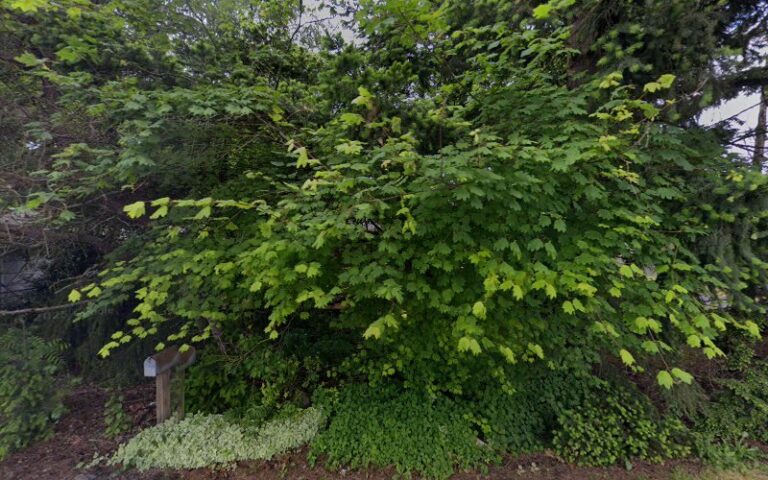 54617 kaseys custom fencing deck 768x480