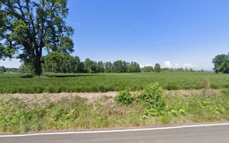 54652 fences for fido 1 768x480