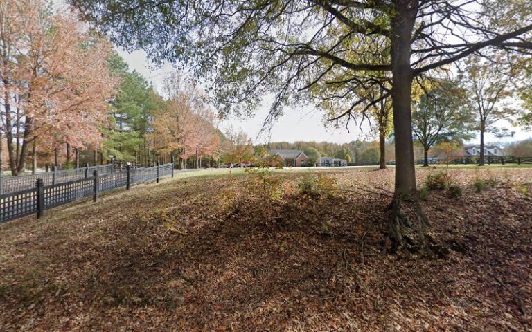 54746 fun with forts 768x480