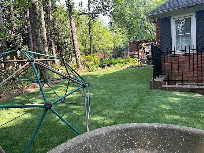 54799 buena vista landscape 1