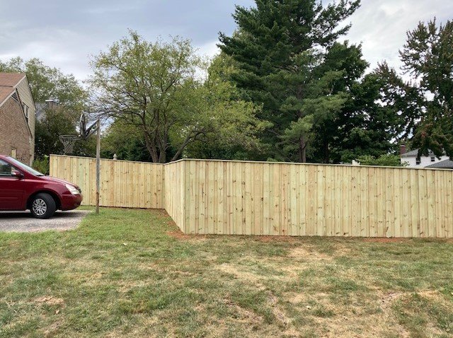 54971 absolute stump grinding 1