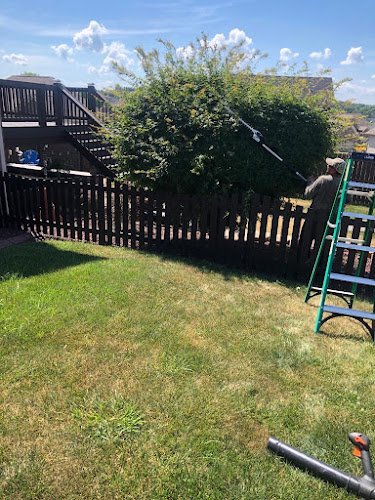 54980 benigno perez tree services 1