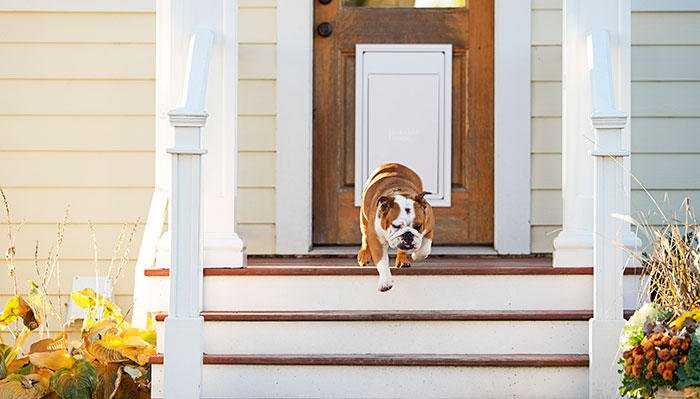 55112 invisible fence brand of maryland 1