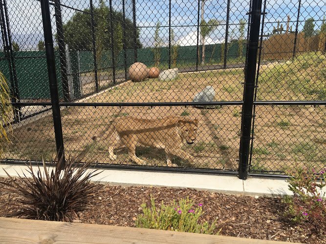 55522 sanger fence company inc 1