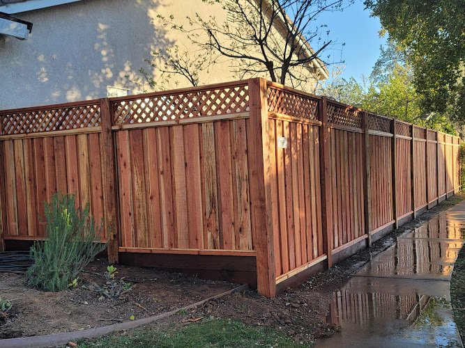 55589 castillo fencing 3