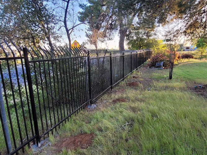 55603 palmer iron fence 1