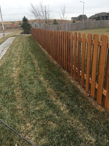 55933 veteran elite stain 1