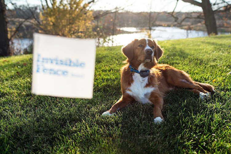 56051 invisible fence of the heartland 1