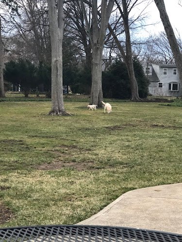 57119 dogwatch hidden fences of cleveland 1