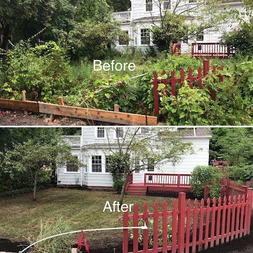 57219 cle landscaping co. llc 1