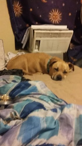 57368 oz lock and key 1