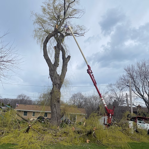 59150 chris tree service llc 1