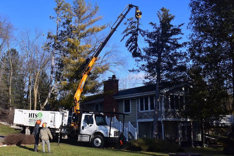 59210 hts brookfield tree service 1