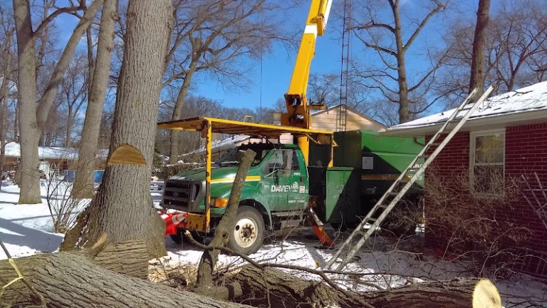 59231 the davey tree expert company 40 768x432