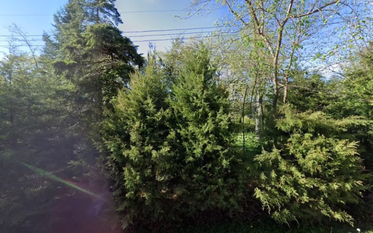59276 kaminski tree service llc 768x480