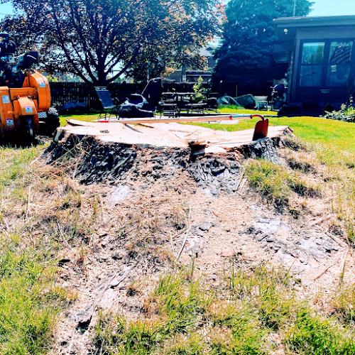 59294 rb stump removal 1