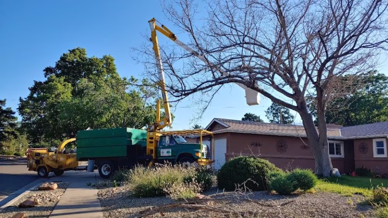 59383 monkeys tree services llc 768x432