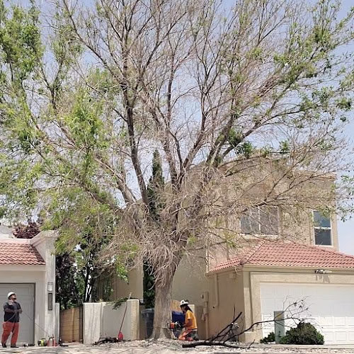 59388 all around forestry llc 1