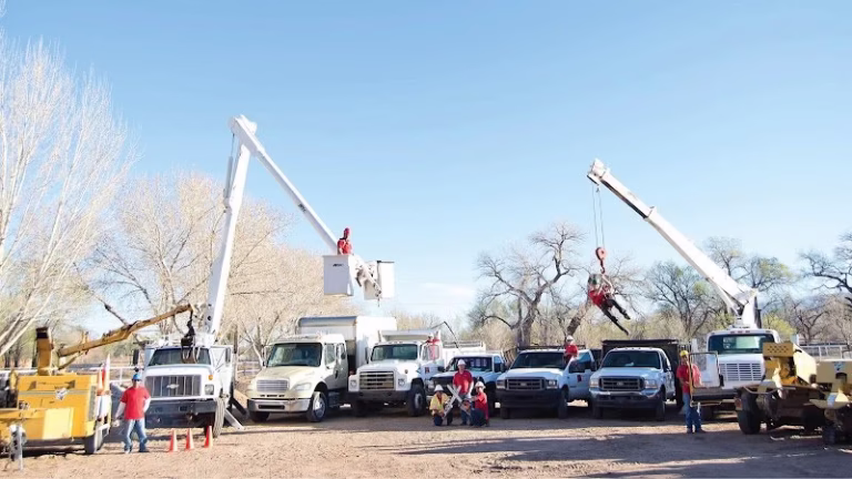 59406 desert gardens outdoor services inc 768x432