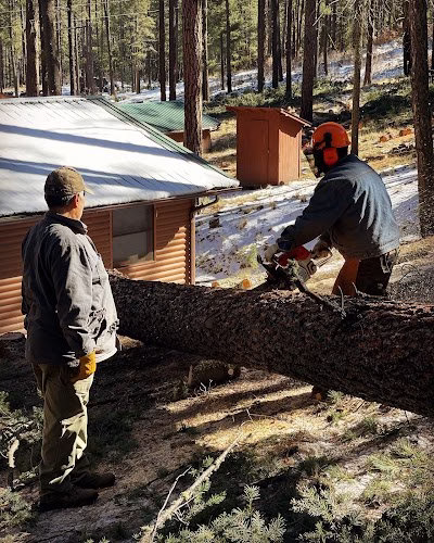 59421 pro tree service 1