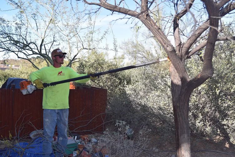 59485 action yard and tree service 1