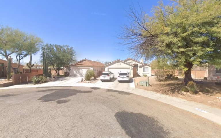 59521 arbor tree cactus 768x480