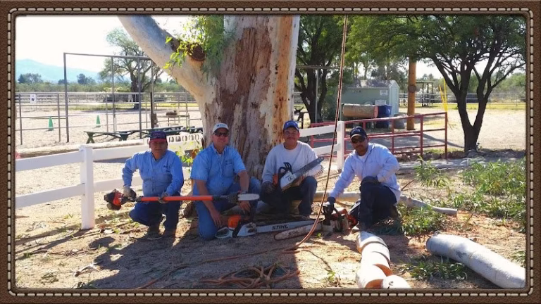 59539 green leaf solutions llc 1 768x432