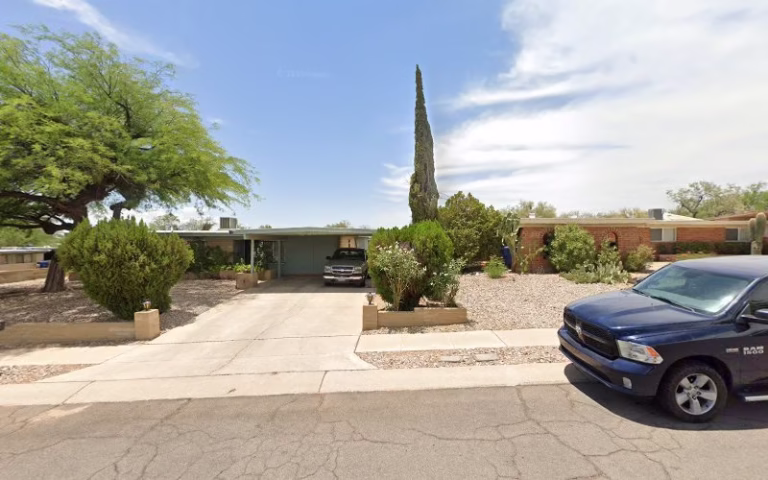 59548 the palminators 768x480