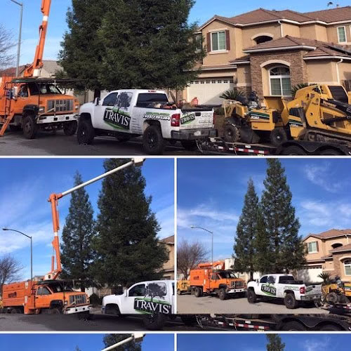 59575 travis tree service 1