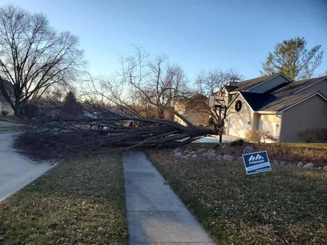 5958 mgr trees and more llc 1