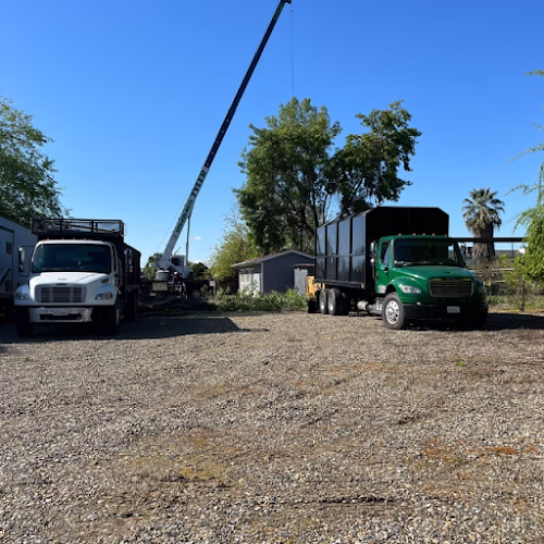 59584 mendez brothers tree service 1