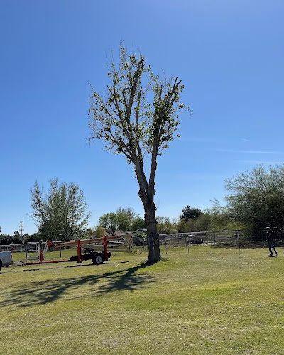 59653 green earth trees 1